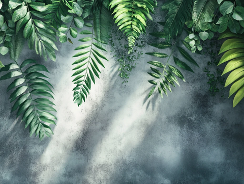 绿叶阳光背景墙