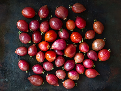 七彩小番茄静物