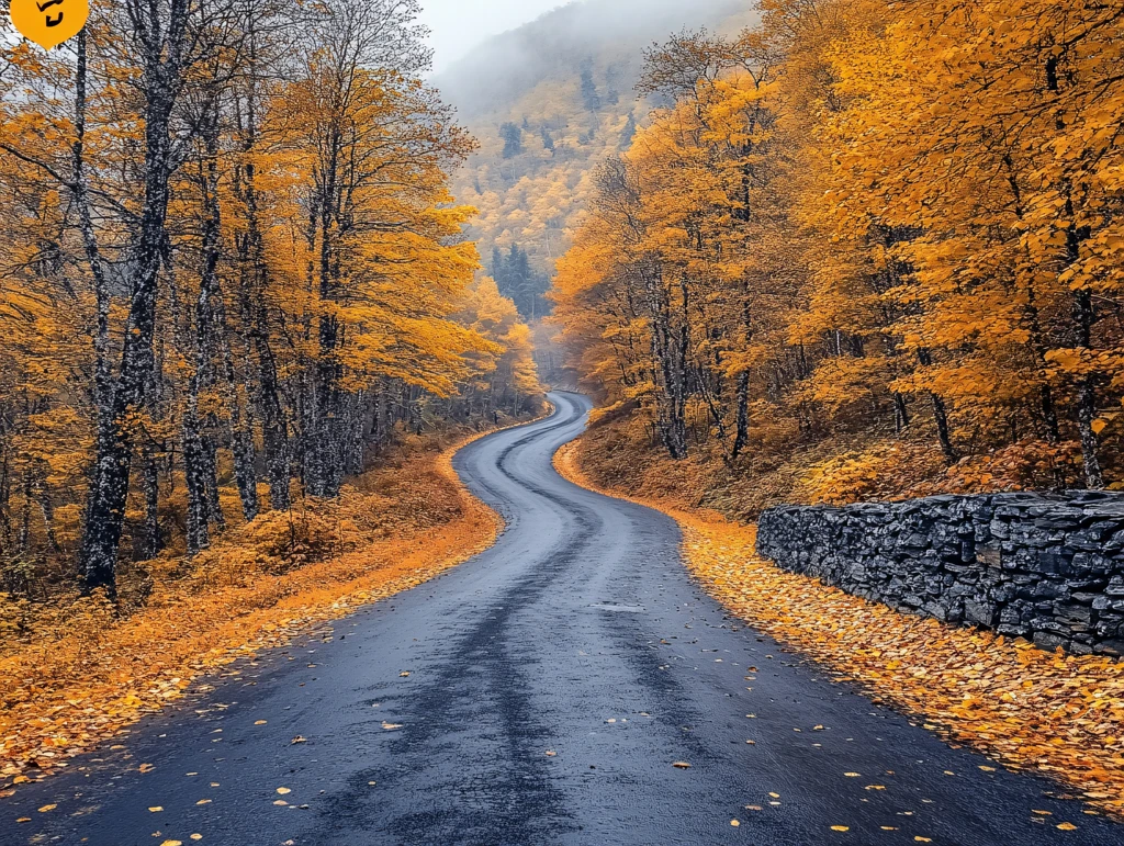 唯美秋景秋天小道