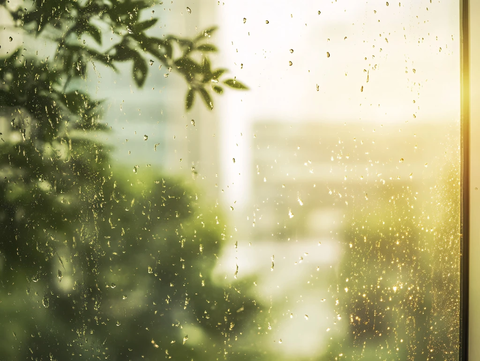雨水窗户风景
