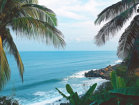 椰林海滨大海树木