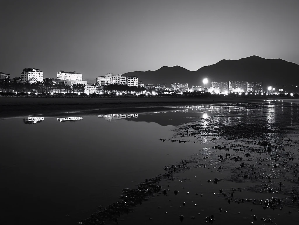 滩涂与城市夜景