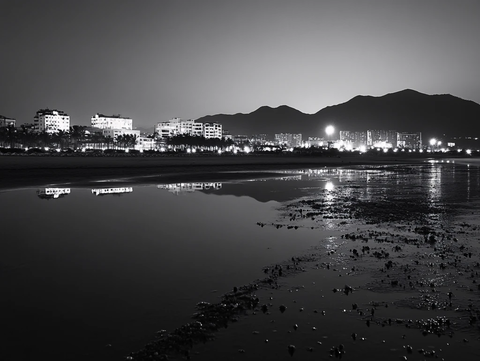 滩涂与城市夜景