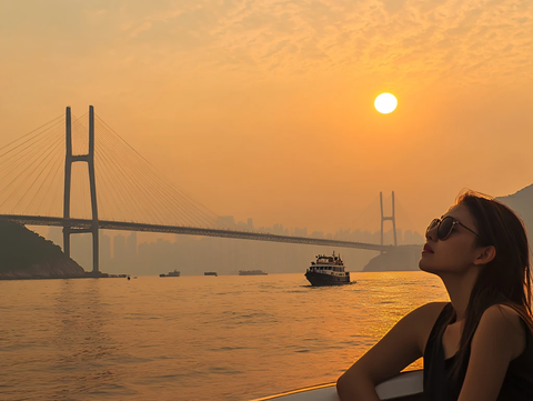 鹦鹉洲大桥落日