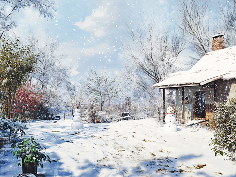 冬季乡村小院