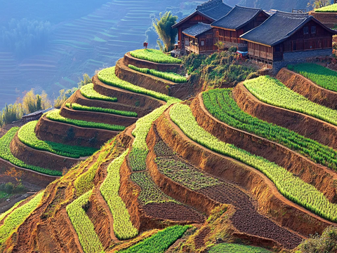龙胜梯田风格