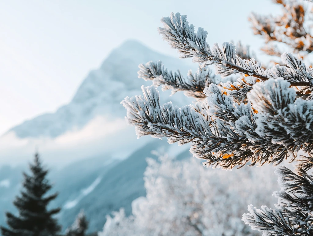 秋天的毕棚沟雪山雪景