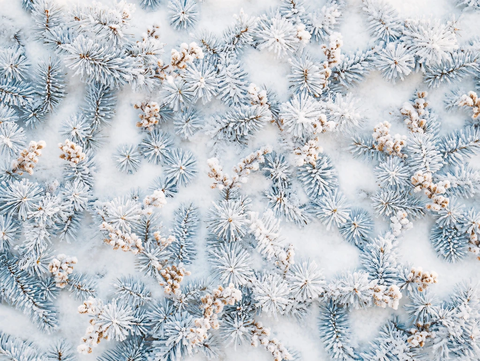 霜花纹理