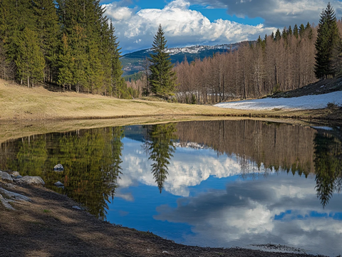 蓝天白云落叶松林湖泊