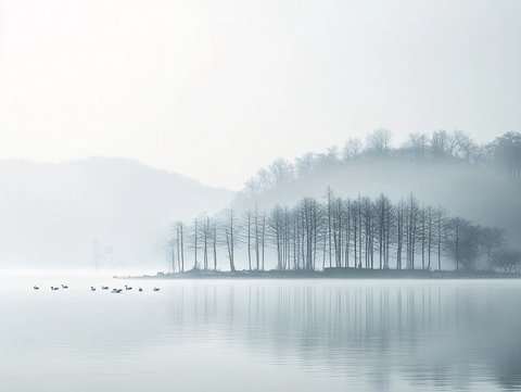 奇墅湖晨雾