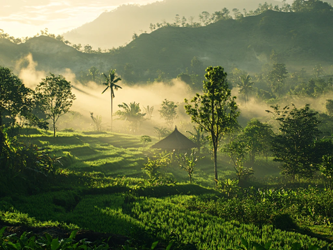 印尼苏门答腊省