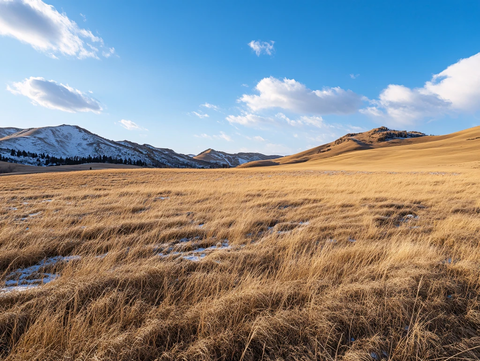 初冬的草原