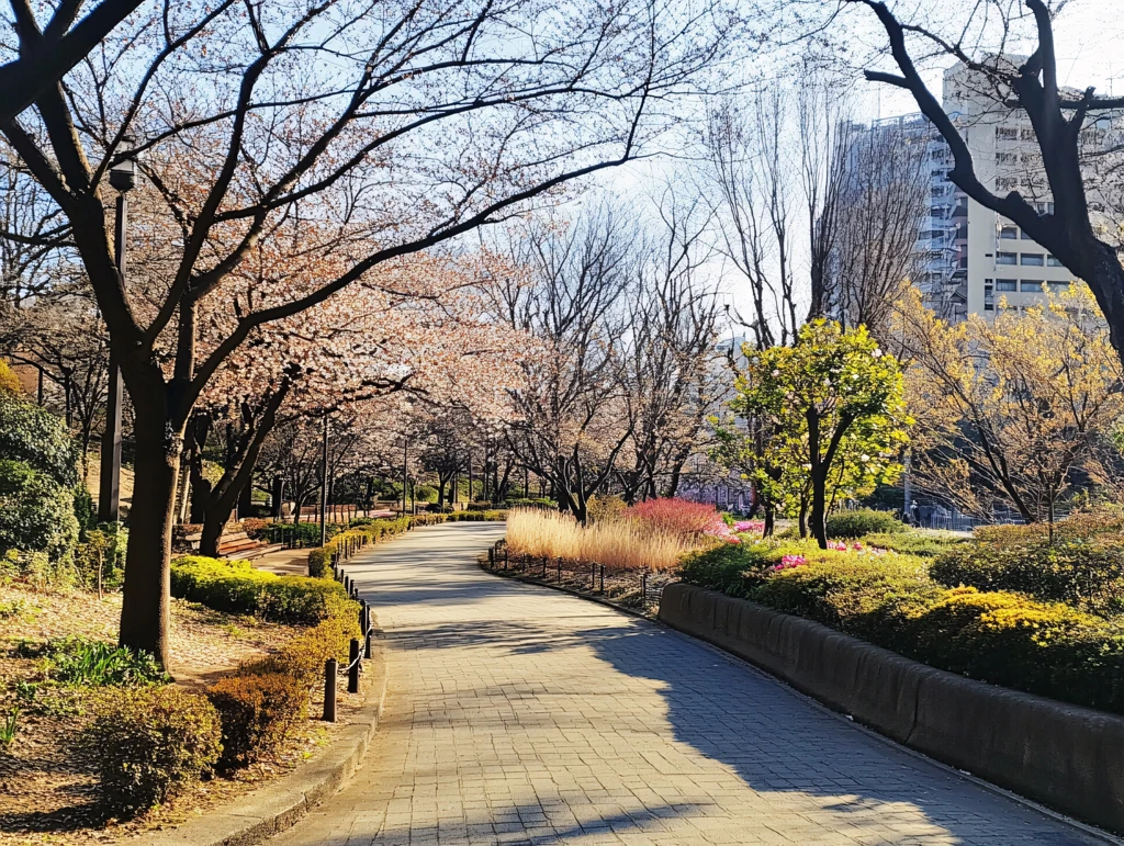 梅花树下赏花时
