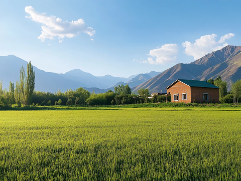 田园乡村风光风景农房