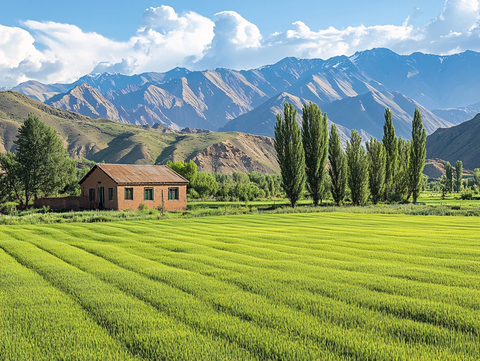高清田园高清乡村