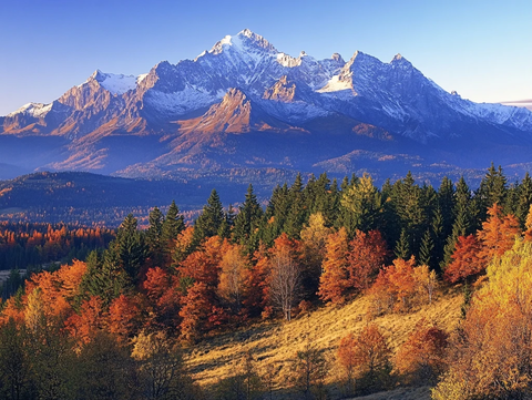 雪山森林金秋图