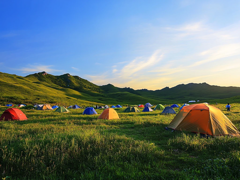 帐篷草原
