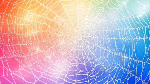 彩色的蜘蛛网