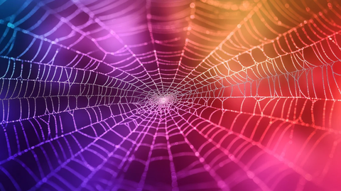 彩色的蜘蛛网