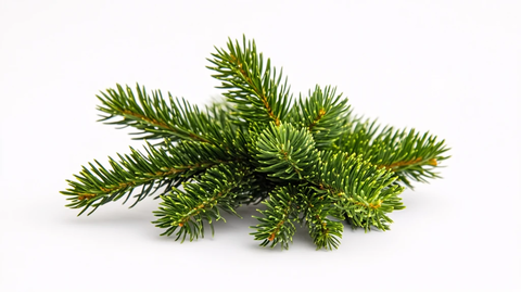 松针白底图