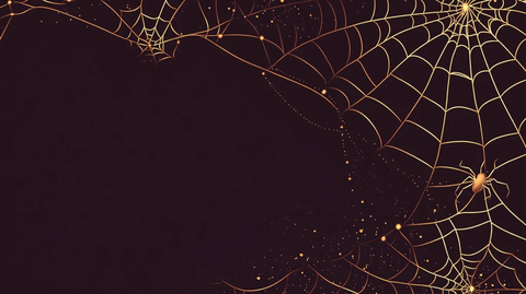 蜘蛛网背景素材