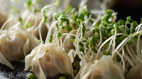 水饺馄饨面食面点加工