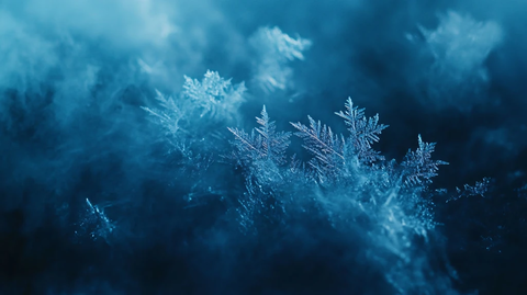 霜花高清图
