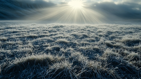 唯美日出精美壁纸