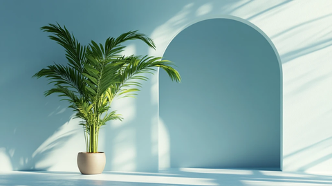 蓝色的房间里的植物