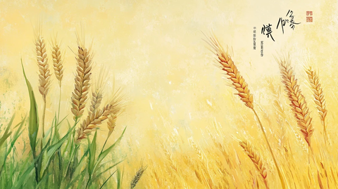 二十四节气之芒种横版