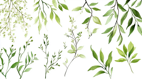 树叶树枝背景墙