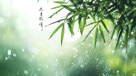竹雨松风