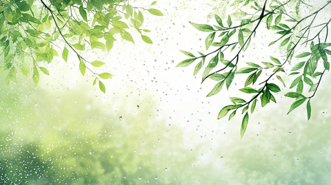 绿树叶梦幻