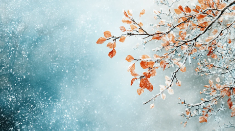 雪地红叶桌面背景