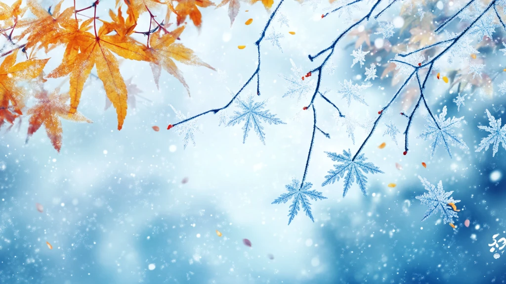 落雪的枫树枝叶