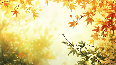 枫叶电脑桌面壁纸