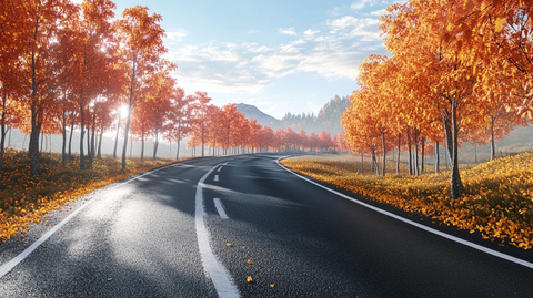 秋天的马路素材