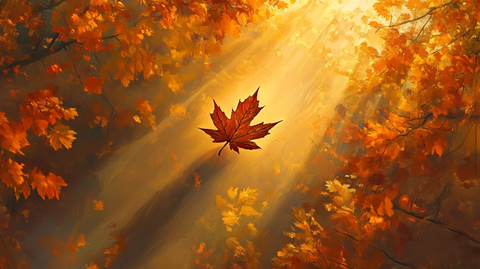 唯美逆光秋天黄树叶