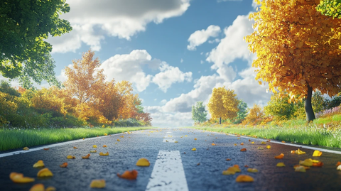 秋天的马路素材
