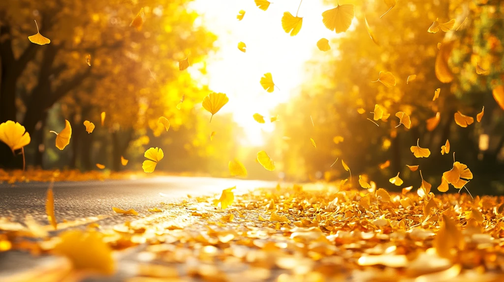 金秋落叶背景实拍