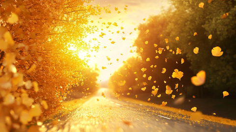 金色树叶铺满道路
