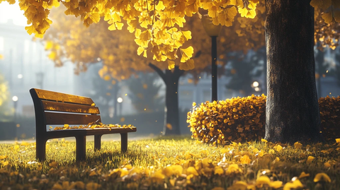 校园唯美金秋素材