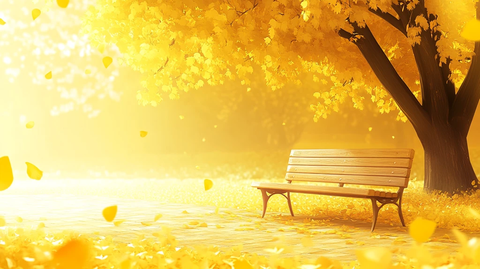 校园唯美金秋素材