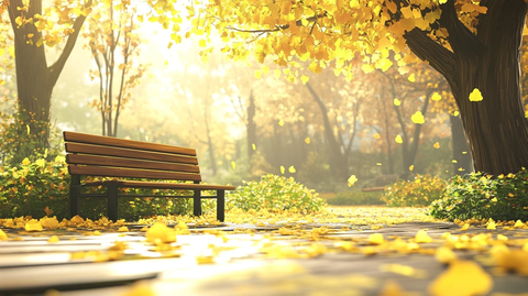 校园唯美金秋素材