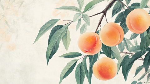手绘黄桃壁纸