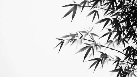 水墨竹影