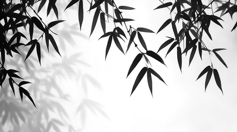 水墨竹韵