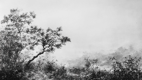 水墨树影