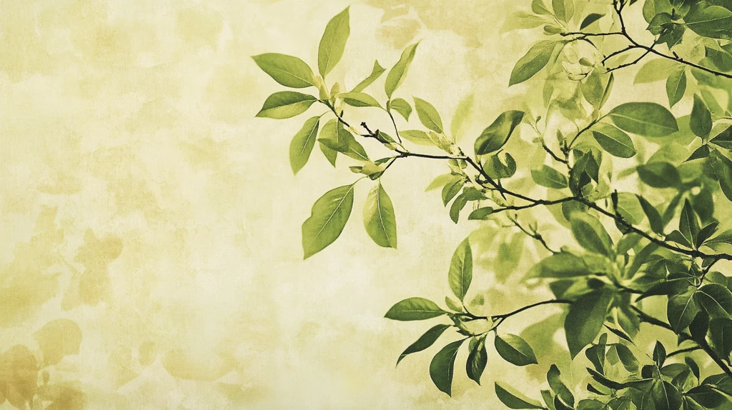 桂花树枝叶背景