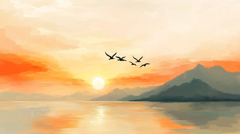 插画飞鸟落日